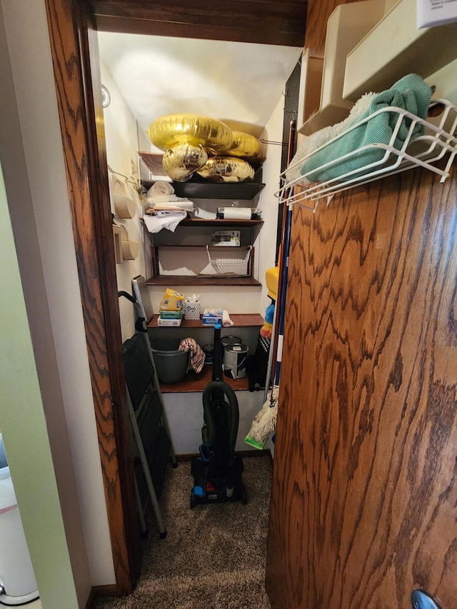 spacious closet with carpet floors