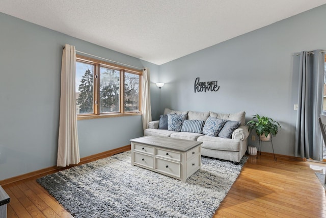 14870 Endicott Way Unit 20, Apple Valley, MN 55124 - living room featuring light wood finished floors, baseboards, and a textured ceiling