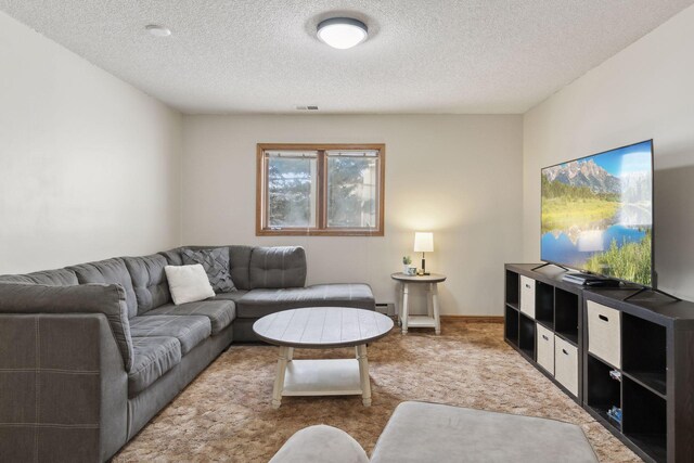 14870 Endicott Way Unit 20, Apple Valley, MN 55124 - living room featuring a textured ceiling and carpet flooring