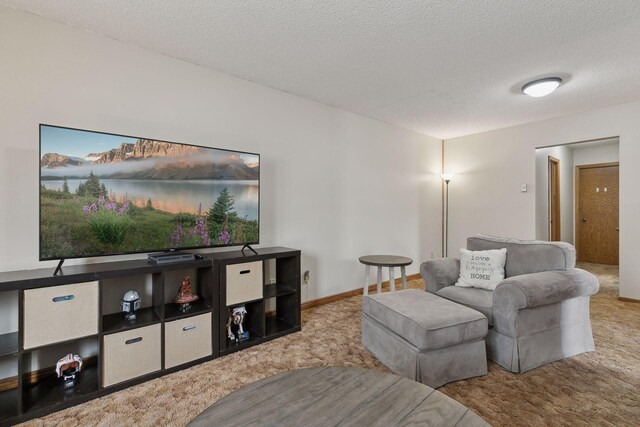14870 Endicott Way Unit 20, Apple Valley, MN 55124 - living area featuring carpet and a textured ceiling