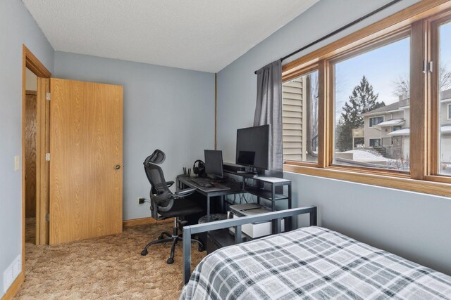 14870 Endicott Way Unit 20, Apple Valley, MN 55124 - bedroom with carpet flooring, an office area, and baseboards