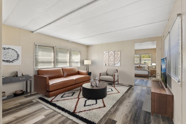 501 Forest St Unit 18, Belle Plaine, MN 56011 - living room featuring wood finished floors and a textured ceiling