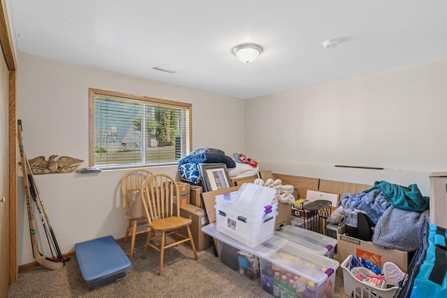 bedroom with carpet flooring