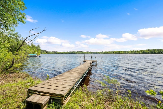 dock area with a water view