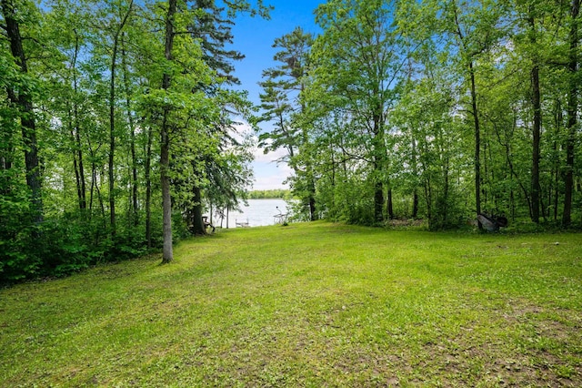 view of grassy yard featuring a water view