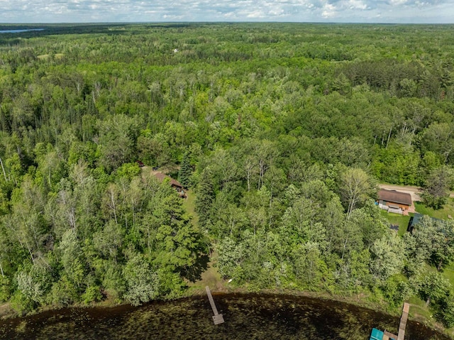 aerial view of a forest