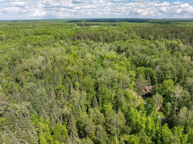 aerial view of a forest