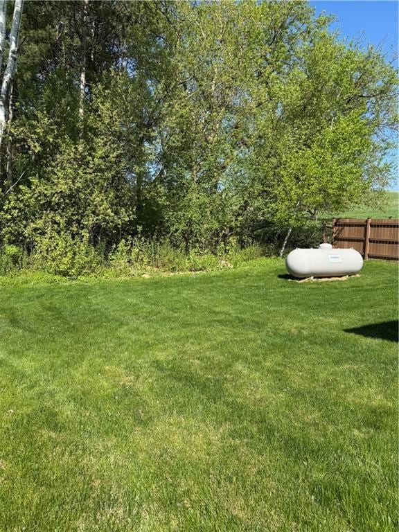 169 Amber View St, Menomonie, WI 54751 - view of yard
