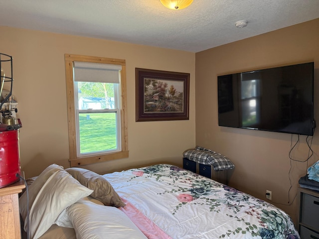303 4th St S, Hoffman, MN 56339 - bedroom with a textured ceiling