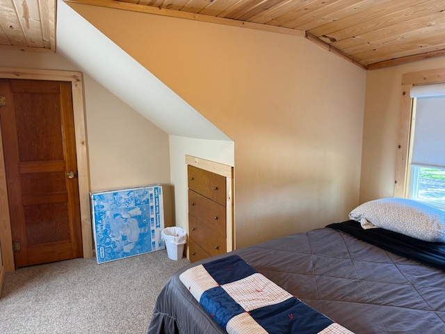 303 4th St S, Hoffman, MN 56339 - carpeted bedroom with wood ceiling and vaulted ceiling
