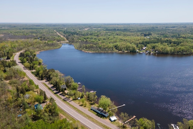 10412 Lakeside Dr, Pine Lake Twp, MN 55735 - drone / aerial view of a forest and a large body of water
