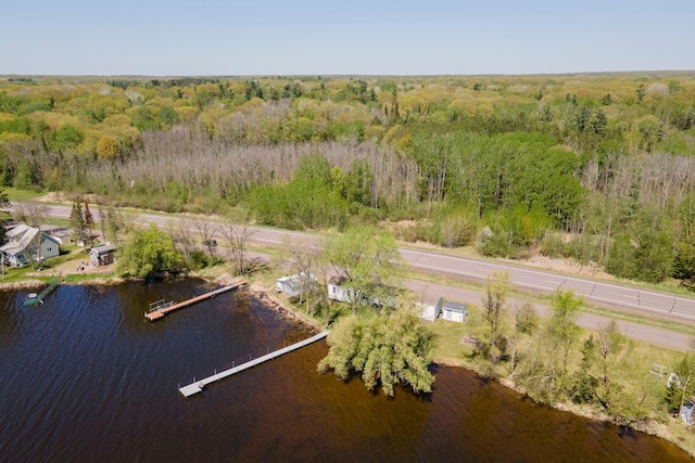 10412 Lakeside Dr, Pine Lake Twp, MN 55735 - drone / aerial view of a forest and a nearby body of water