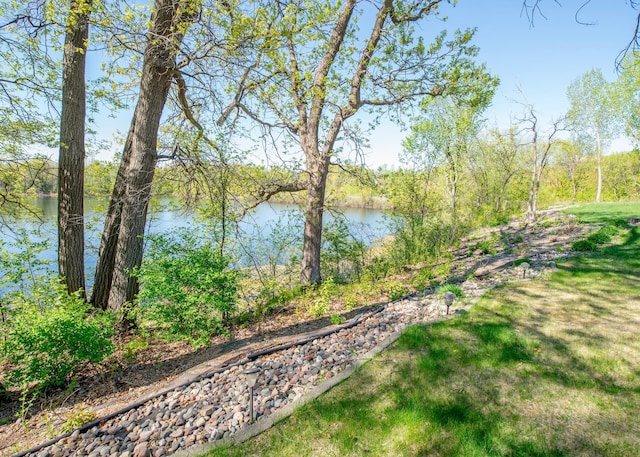 4532 Alicia Dr, Eagan, MN 55077 - photo 5