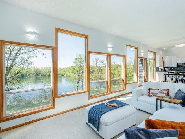 4532 Alicia Dr, Eagan, MN 55077 - photo 8
