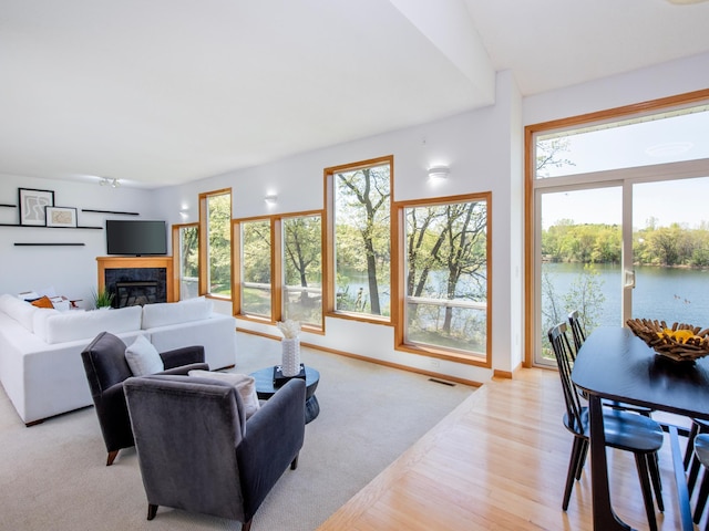 4532 Alicia Dr, Eagan, MN 55077 - photo 9