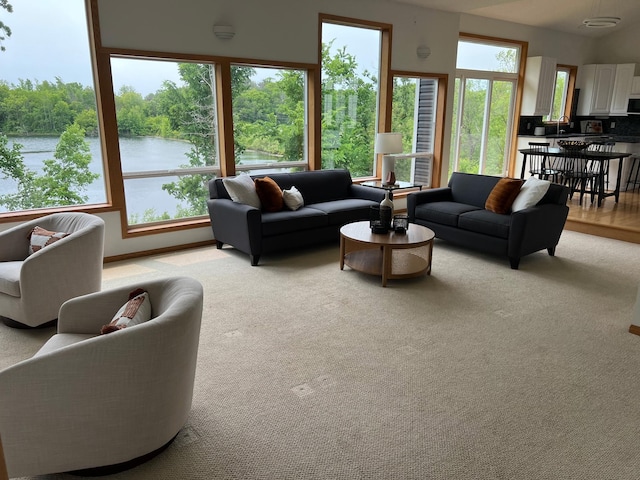 4532 Alicia Dr, Eagan, MN 55077 - photo 19