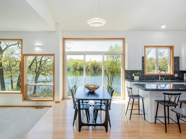 4532 Alicia Dr, Eagan, MN 55077 - photo 21