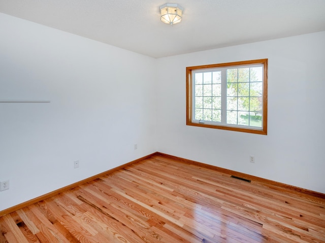 4532 Alicia Dr, Eagan, MN 55077 - photo 37