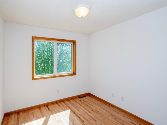 4532 Alicia Dr, Eagan, MN 55077 - photo 38