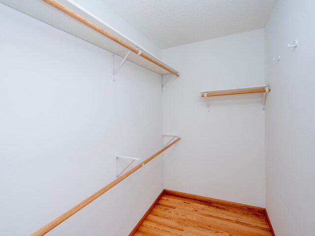 4532 Alicia Dr, Eagan, MN 55077 - photo 44
