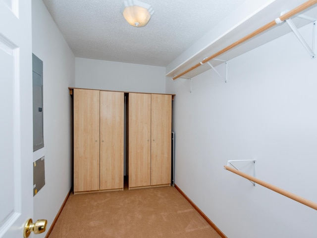 4532 Alicia Dr, Eagan, MN 55077 - photo 50