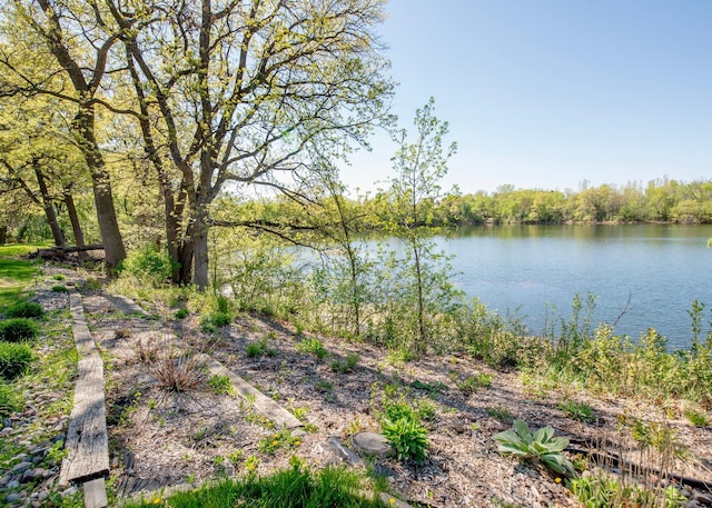 4532 Alicia Dr, Eagan, MN 55077 - photo 57