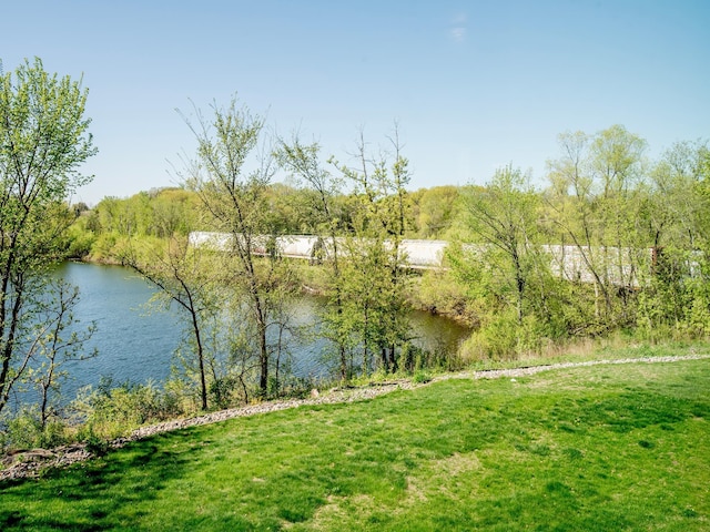 4532 Alicia Dr, Eagan, MN 55077 - photo 59