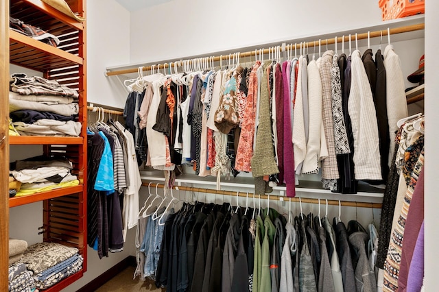 walk in closet with carpet floors