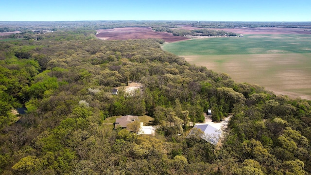 aerial view of a forest