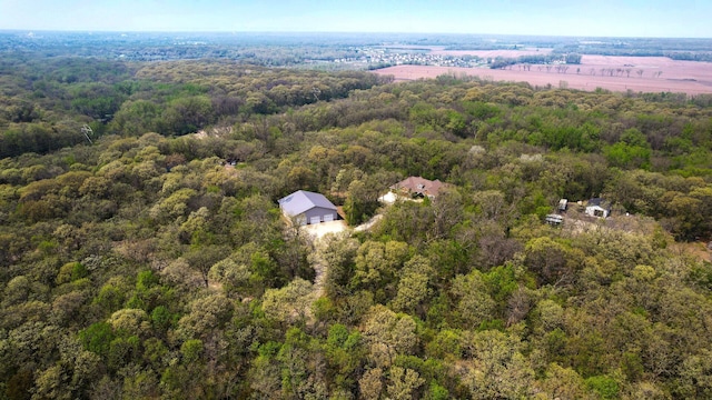 aerial view of a forest