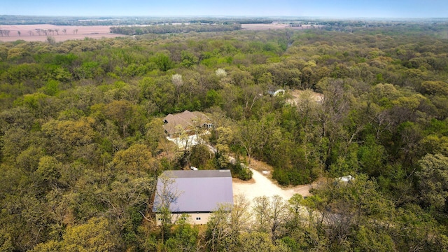 drone / aerial view of a forest