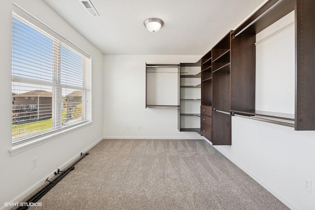 3618 112th Cir NE, Blaine, MN 55449 - walk in closet featuring light carpet