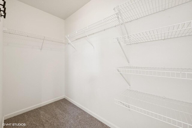 3618 112th Cir NE, Blaine, MN 55449 - walk in closet featuring carpet flooring