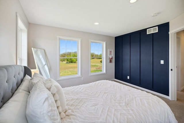 13985 120th St N, Stillwater Twp, MN 55082 - carpeted bedroom with recessed lighting