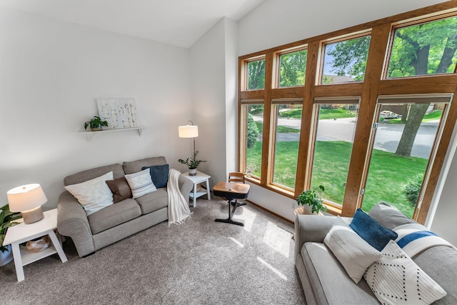 carpeted living room with plenty of natural light and lofted ceiling