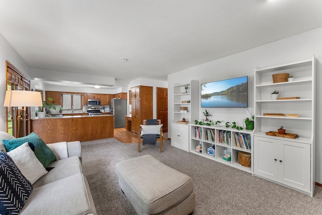 living room featuring light colored carpet