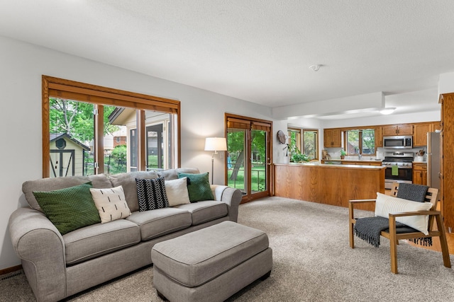 living area featuring light carpet, plenty of natural light, and a textured ceiling