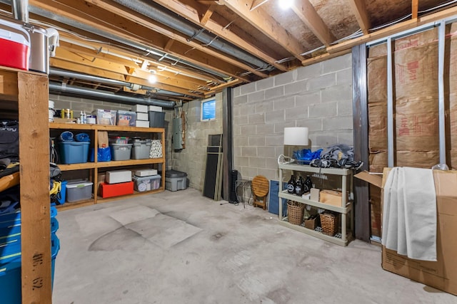 unfinished below grade area with electric panel and concrete block wall