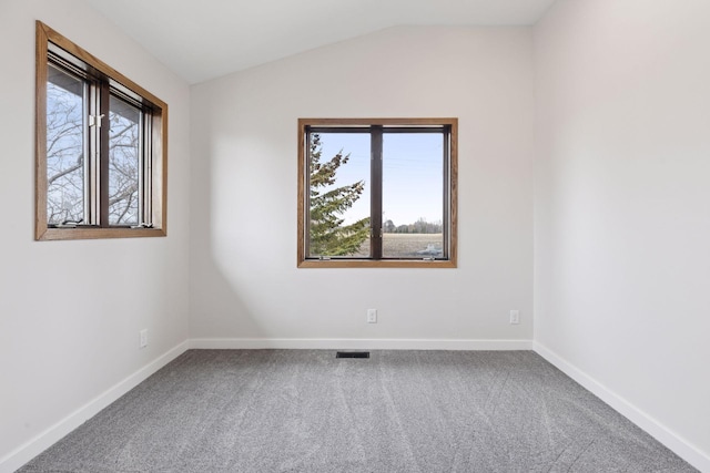 19835 County Road 30, Corcoran, MN 55340 - carpeted empty room with baseboards and lofted ceiling