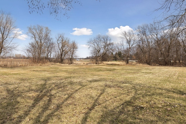 19835 County Road 30, Corcoran, MN 55340 - view of grassy yard with a view of countryside