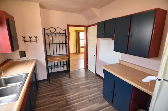 321 1st Ave SW, Baudette, MN 56623 - kitchen with blue cabinetry, a sink, light countertops, dark wood-style floors, and vaulted ceiling