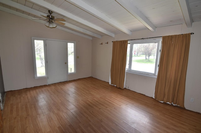 321 1st Ave SW, Baudette, MN 56623 - empty room with light wood-type flooring, a ceiling fan, and wood ceiling