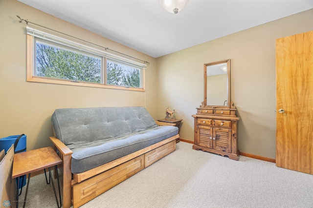 1214 8th St N, Moorhead, MN 56560 - sitting room with carpet and baseboards