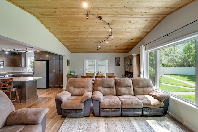 7256 Maciver Ave NE, Otsego, MN 55301 - living area featuring track lighting, vaulted ceiling, wood ceiling, plenty of natural light, and light wood-type flooring