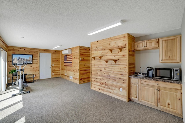 7256 Maciver Ave NE, Otsego, MN 55301 - unfurnished living room with wood walls, a textured ceiling, light carpet, and a sink
