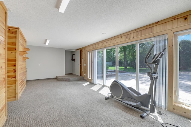 7256 Maciver Ave NE, Otsego, MN 55301 - exercise room with carpet flooring, wooden walls, and a textured ceiling