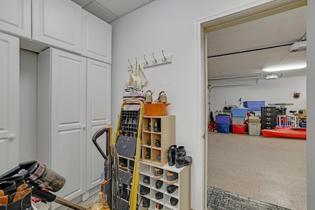 7256 Maciver Ave NE, Otsego, MN 55301 - view of garage