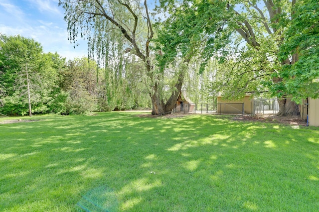 7256 Maciver Ave NE, Otsego, MN 55301 - view of yard