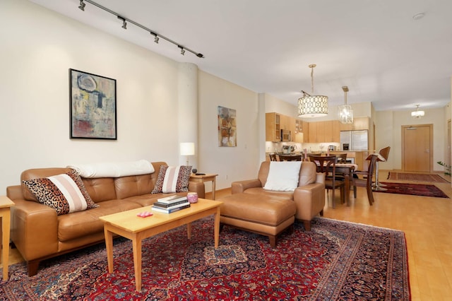 living room with light wood-style flooring and track lighting