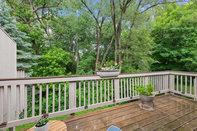 1623 Black Oaks Pl N, Plymouth, MN 55447 - view of deck